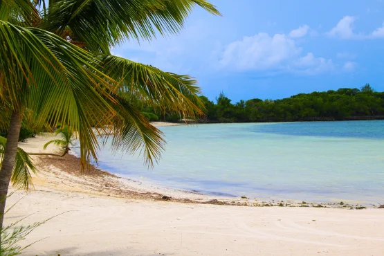 navette plage basse-terre sur demande