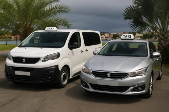 vehicules basse-terre minibus et berline